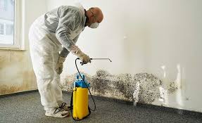 Mold Odor Removal Services in Taylorsville, NC