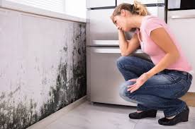 Mold Remediation for Rental Properties in Taylorsville, NC